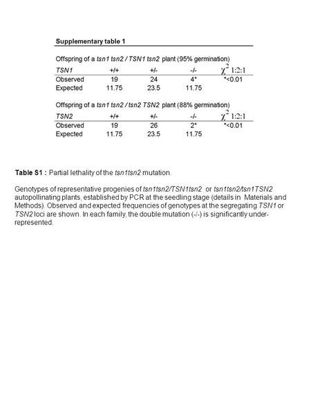 Table S1 : Partial lethality of the tsn1tsn2 mutation. Genotypes of representative progenies of tsn1tsn2/TSN1tsn2 or tsn1tsn2/tsn1TSN2 autopollinating.