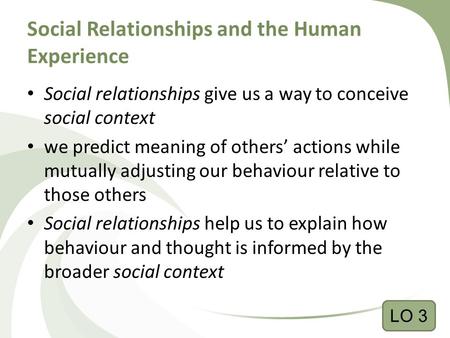 Social Relationships and the Human Experience