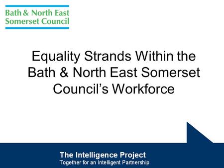 Equality Strands Within the Bath & North East Somerset Council’s Workforce.