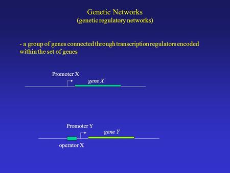 (genetic regulatory networks)