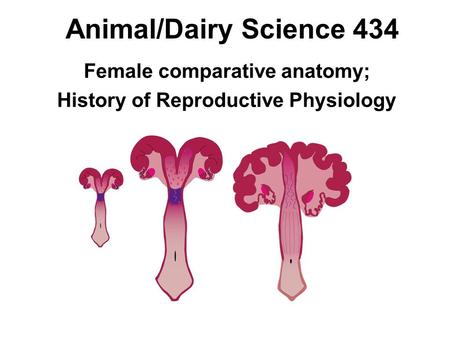 Female comparative anatomy; History of Reproductive Physiology