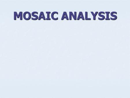 MOSAIC ANALYSIS.