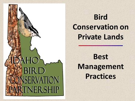 Bird Conservation on Private Lands Best Management Practices.