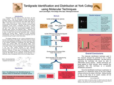 Tardigrade Identification and Distribution at York College using Molecular Techniques Jason Lamontagne, York College of PA, Dept. of Biological Sciences.