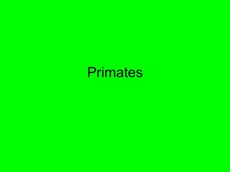 Primates. Share a Common Ancestor, prosimians, monkeys, apes, humans. Relevant Lifestyle features Colour Vision Grasping hands Forward facing eyes. Dependent.