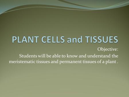 Objective: Students will be able to know and understand the meristematic tissues and permanent tissues of a plant.