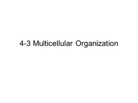 4-3 Multicellular Organization. 4-3 Objectives Distinguish between tissues, organs and organ systems. Describe the features of a colonial organism.