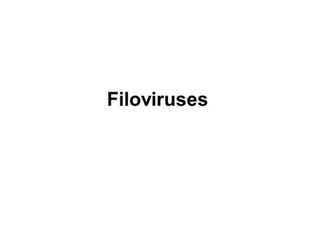 Filoviruses. Filoviruses (Filoviridae) Marburg and Ebola viruses filamentous, enveloped, negative-strand RNA viruses. These agents cause severe or fatal.