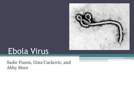 Ebola Virus Sadie Fuson, Gina Cackovic, and Abby Steer.