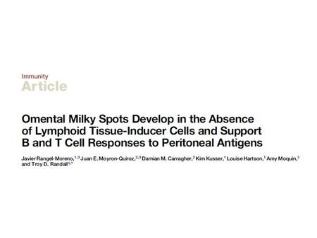 Omentum and milky spots