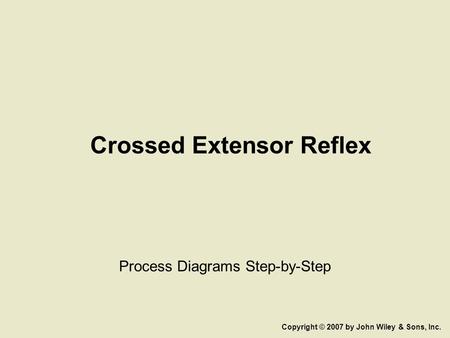 Crossed Extensor Reflex