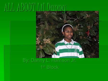 By: Danny L. Harrison Jr. 1 st Block ALL ABOUT Lil Danny.