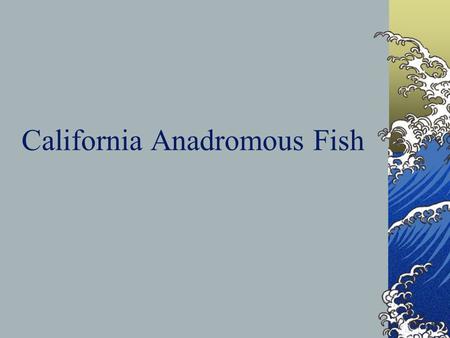 California Anadromous Fish. There are 5 Native Species of Salmon in California Chinook Chum Pink Coho Sockeye.