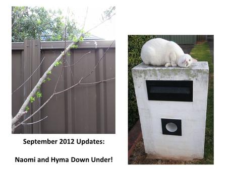 September 2012 Updates: Naomi and Hyma Down Under!