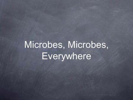 Microbes, Microbes, Everywhere