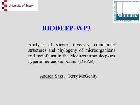 University of Essex BIODEEP-WP3 Analysis of species diversity, community structures and phylogeny of microorganisms and meiofauna in the Mediterranean.