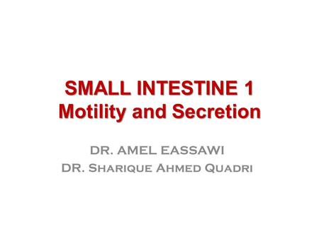 SMALL INTESTINE 1 Motility and Secretion