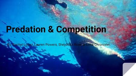 Predation & Competition By: Rachel Lopez, Lauren Powers, Sheydden Rose, & Celia Chronister.