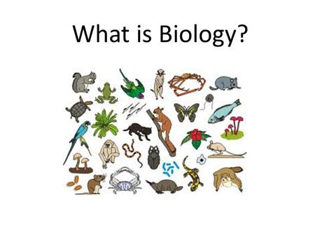 What is Biology?.