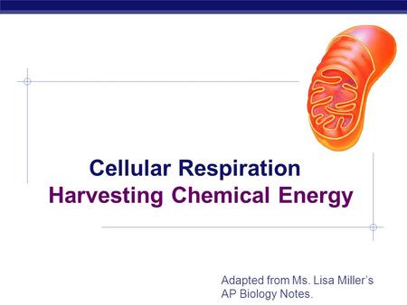 AP Biology Cellular Respiration Harvesting Chemical Energy Adapted from Ms. Lisa Miller’s AP Biology Notes.