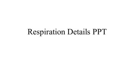 Respiration Details PPT