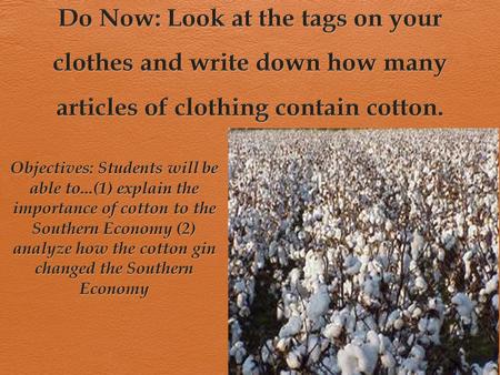 Southern Economy  Thrived on production of ‘cash crops’  UPPER SOUTHERN STATES (VA, MD, KY, TN):  Tobacco  South Carolina and Georgia  Rice paddies.