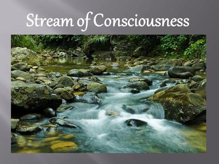 Stream of Consciousness. Visual Images -On your way to class tomorrow, pay close attention to your surroundings. Who do you see, what do you hear.