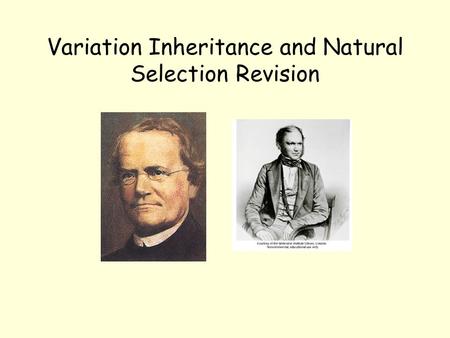 Variation Inheritance and Natural Selection Revision.