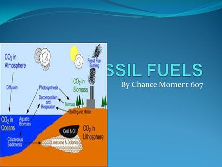 By Chance Moment 607. FOSSIL FUELS A hydrocarbonated deposite,such as petroleum,coal,or natural gas derived from living matter of a previous gologic time.