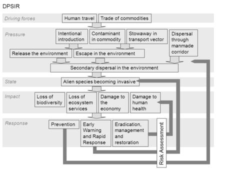 Driving forces Pressure Human travelTrade of commodities State Release the environmentEscape in the environment Contaminant in commodity Stowaway in transport.