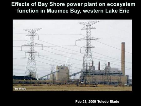 Effects of Bay Shore power plant on ecosystem function in Maumee Bay, western Lake Erie Feb 23, 2009 Toledo Blade.