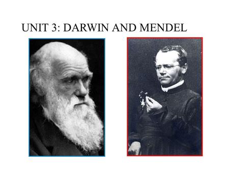 UNIT 3: DARWIN AND MENDEL. I. Darwin’s Contributions.