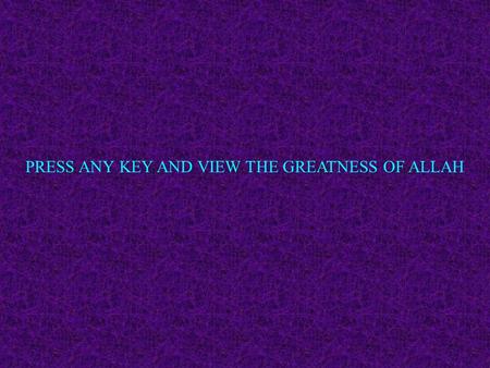 PRESS ANY KEY AND VIEW THE GREATNESS OF ALLAH. But man will never be able to create the beauty of colour in these leaves Man may have created this road.