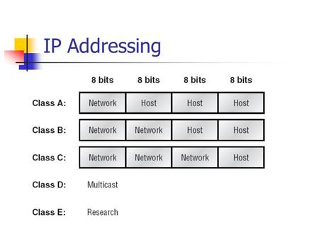 IP Addressing.