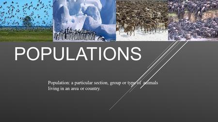 POPULATIONS Population: a particular section, group or type of animals living in an area or country.