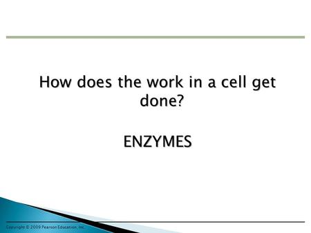 How does the work in a cell get done? ENZYMES