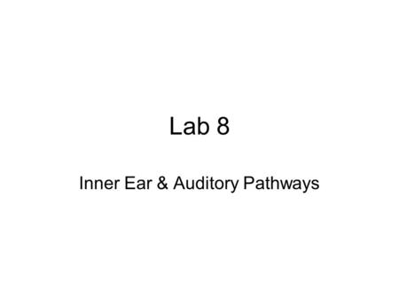 Inner Ear & Auditory Pathways