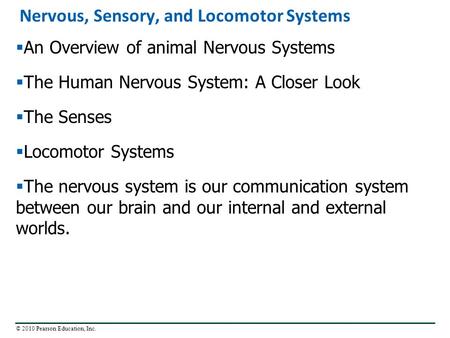 © 2010 Pearson Education, Inc. Nervous, Sensory, and Locomotor Systems  An Overview of animal Nervous Systems  The Human Nervous System: A Closer Look.