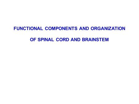 FUNCTIONAL COMPONENTS AND ORGANIZATION OF SPINAL CORD AND BRAINSTEM