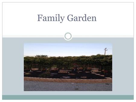 Family Garden. Written Description My project is related to agriculture because I worked with planting seeds and growing my plants. I planted various.