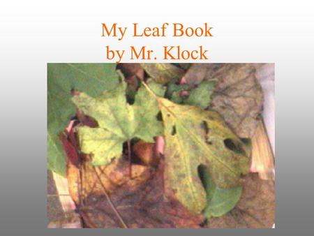 My Leaf Book by Mr. Klock.