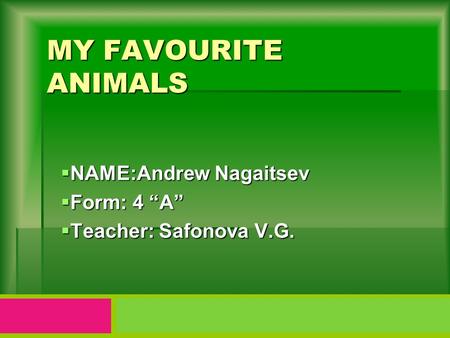 MY FAVOURITE ANIMALS  NAME:Andrew Nagaitsev  Form: 4 “A”  Teacher: Safonova V.G.