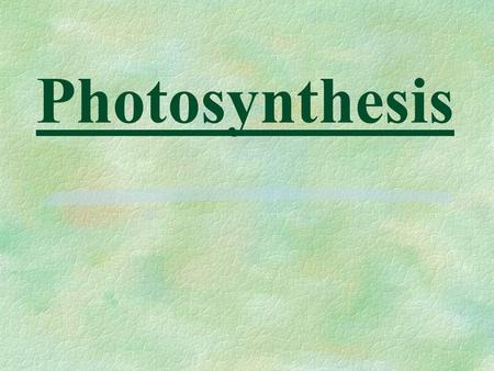 Photosynthesis. §Food supply factory §Adapted to maximize light absorption and CO 2 diffusion.