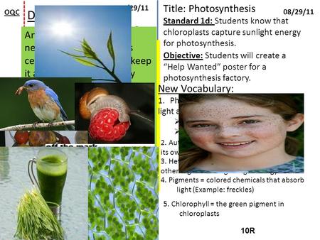 10R 10L 08/29/11 OQC Do Now: How does the sun…? Please silently read pg 118 Please read Figure 1 at the top of pg 119 “Energy from the sun” Write a 4-5.