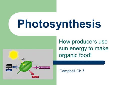 Photosynthesis How producers use sun energy to make organic food! Campbell Ch 7.