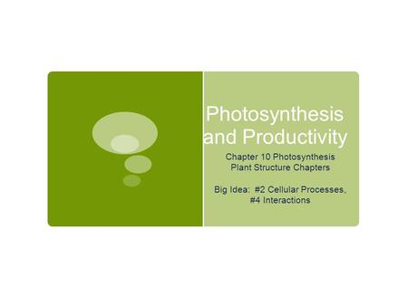 Photosynthesis and Productivity Chapter 10 Photosynthesis Plant Structure Chapters Big Idea: #2 Cellular Processes, #4 Interactions.