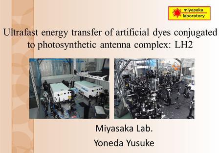 Ultrafast energy transfer of artificial dyes conjugated to photosynthetic antenna complex: LH2 Miyasaka Lab. Yoneda Yusuke.