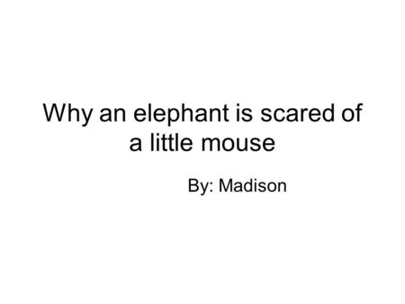 Why an elephant is scared of a little mouse By: Madison.