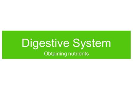 Digestive System Obtaining nutrients.