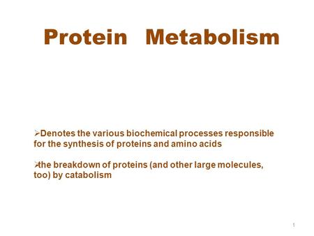 Protein Metabolism Denotes the various biochemical processes responsible for the synthesis of proteins and amino acids the breakdown of proteins (and other.